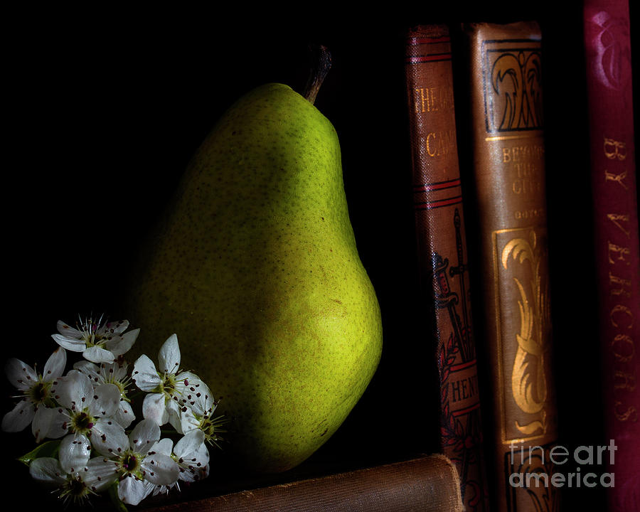Pear And Books Photograph by Mike Eingle