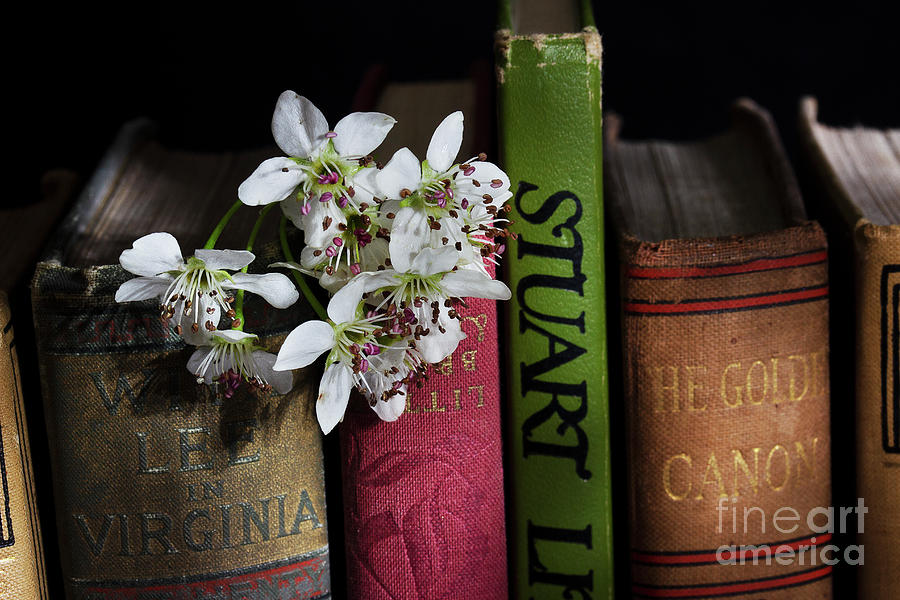 Pear Blossoms And Books Photograph by Mike Eingle