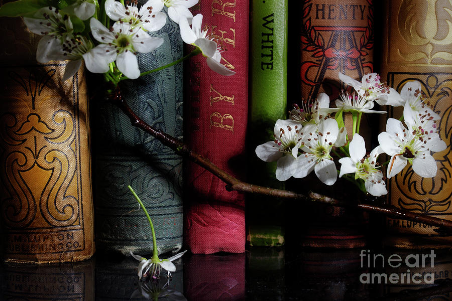 Pear Blossoms On The Shelf Photograph by Mike Eingle