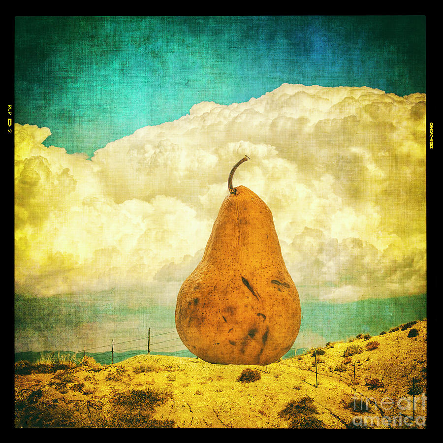 Pear In The Landscape Photograph