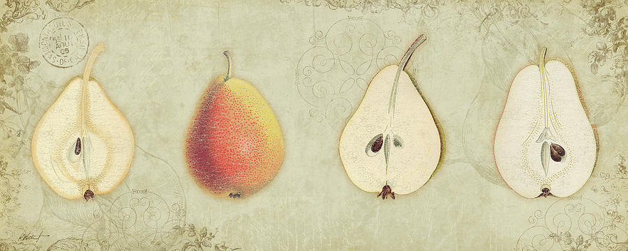Fruit Drawing - Pear Quartet by Katie Pertiet