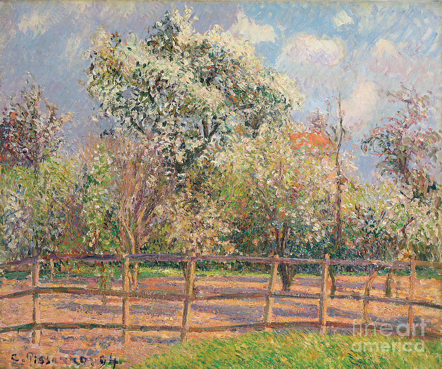 Pear Trees In Bloom, Eragny; Poiriers En Fleur, Eragny, 1894 Painting by Camille Pissarro