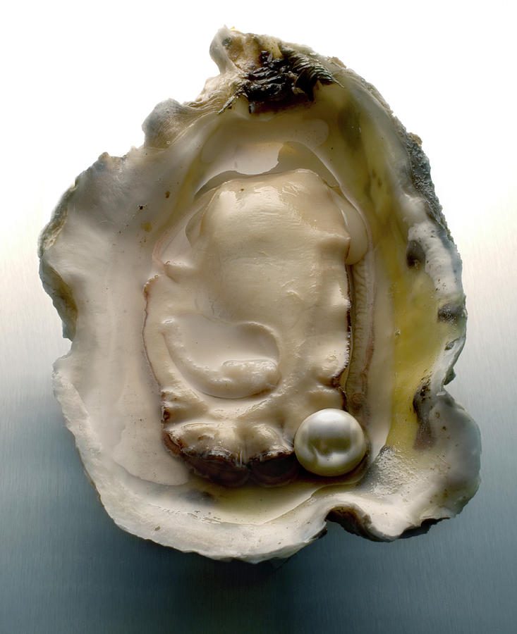 Pearl In Oyster Photograph by Atu Images