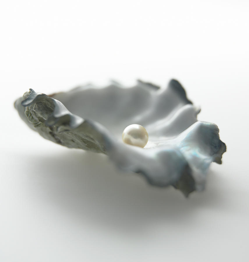 Pearl In Oyster Shell Photograph by Biwa Studio