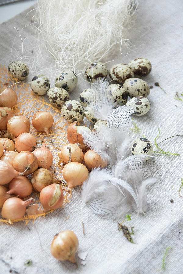 Pearl Onions, Quail Eggs, Feathers And Decorative Sisal Straw On Coarse Fabric Photograph by Astrid Algermissen