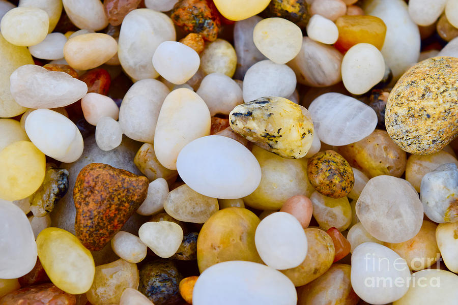 Pearly White Pebbles Photograph by Debra Banks