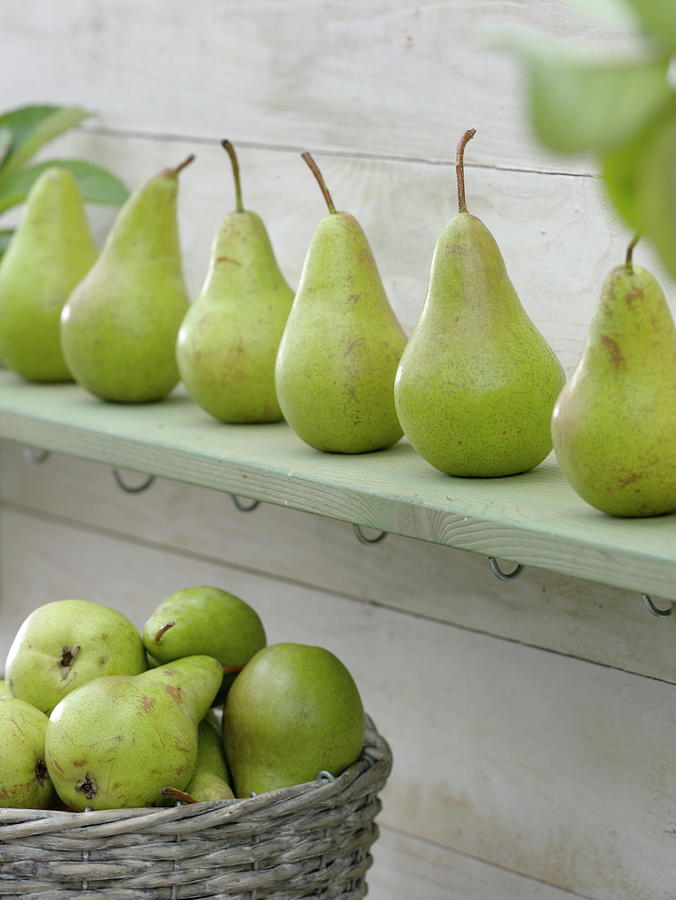 Pears concord Lined Up On Wooden Shelf Photograph by Friedrich Strauss