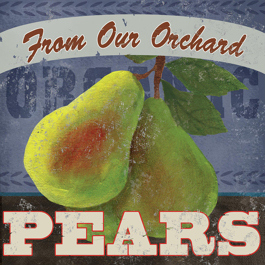 Pear Mixed Media - Pears by Fiona Stokes-gilbert