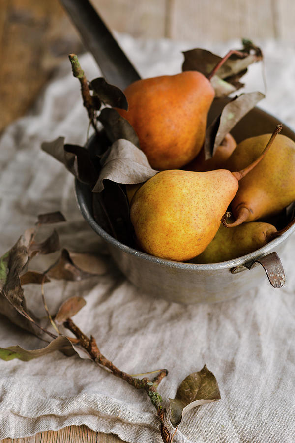 Pears In A Metal Sieve, With A Small Branch In The Foreground Photograph by Tina Engel