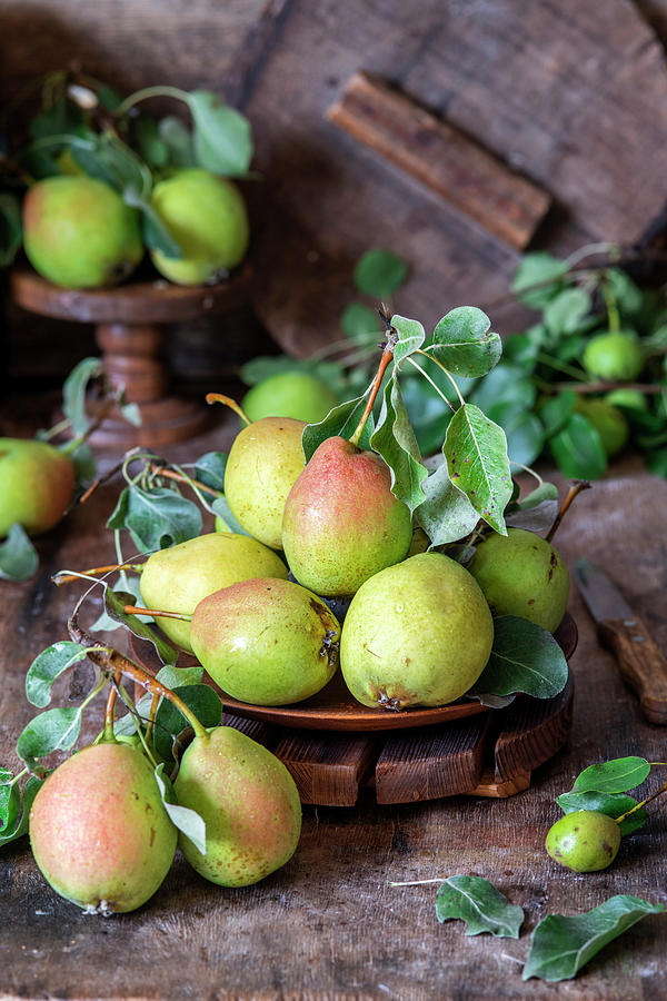 Pears Photograph by Irina Meliukh