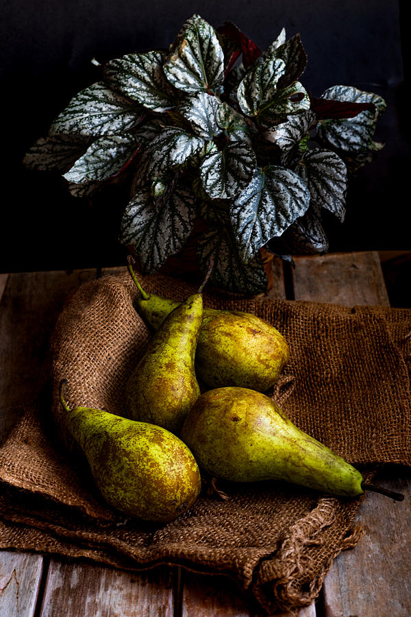 Fruit Photograph - Pears by Marija Kordi?
