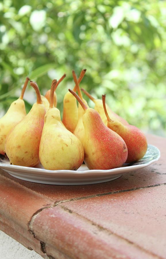 Pears On A Plate On A Garden Wall Photograph by Patricia Miceli