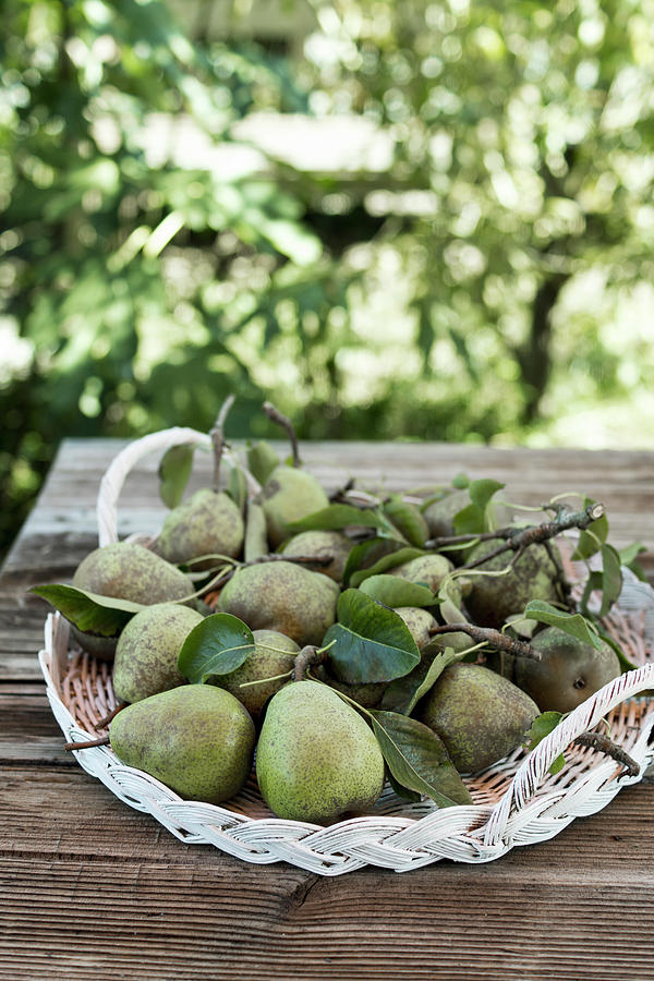 Pears On A Wicker Tray Photograph by Lieberbacken