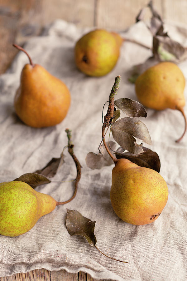 Pears With Leaves On A Linen Napkin Photograph by Tina Engel