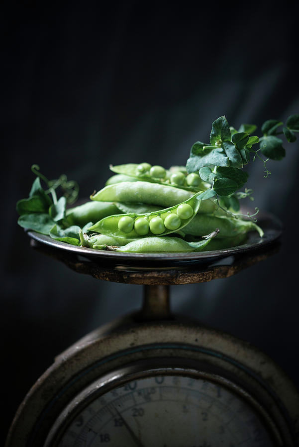 Peas And Pea Pods On An Antique Pair Of Scales Photograph by Kati Neudert