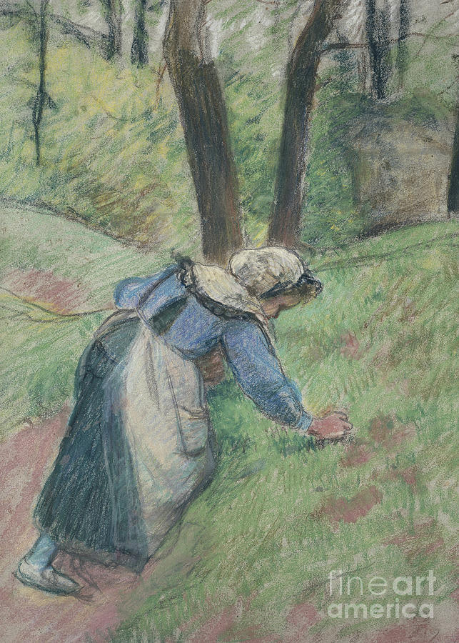 Peasant Woman Weeding The Grass Pastel Painting by Camille Pissarro