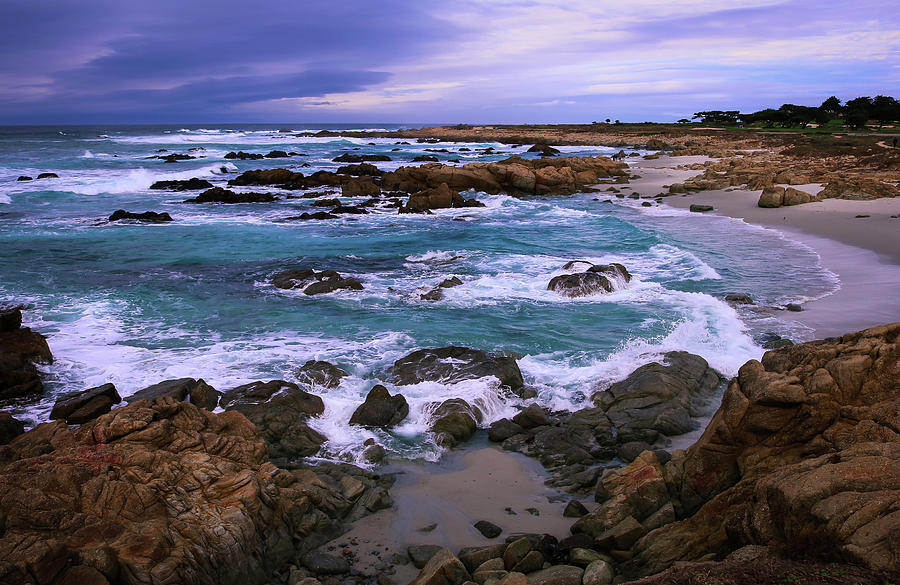 Pebble Beach, Ca Photograph by Dr Janine Williams