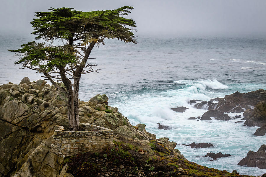 Pebble Beach Photograph by Gary Migues