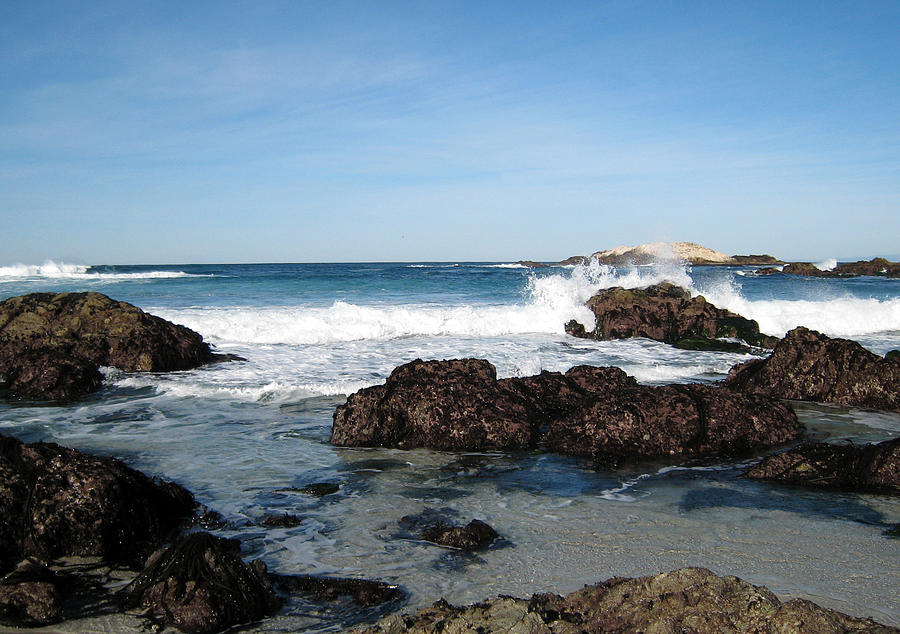 Pebble Beach Photograph by Marilyn Moran - Fine Art America