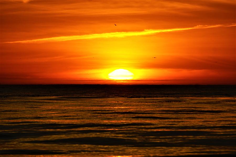 Pebble Beach Sunset Photograph by David Reay - Fine Art America