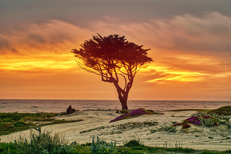 Pebble Beach Sunset Photograph by Meta Gatschenberger