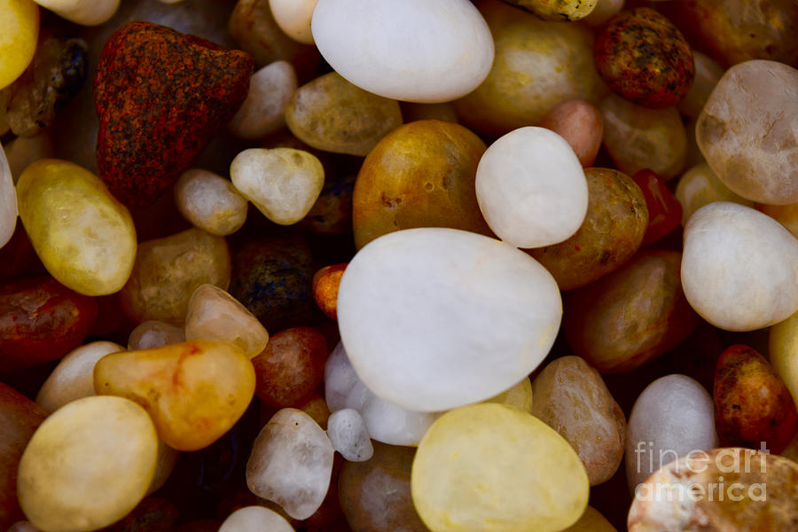 Pebbles on the Seashore Photograph by Debra Banks