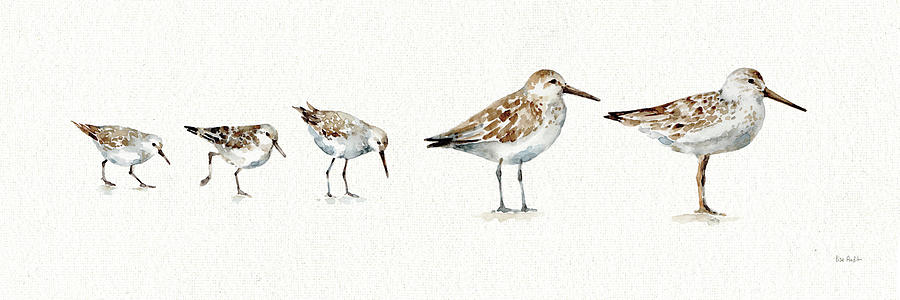 Animal Painting - Pebbles And Sandpipers I No Words Border by Lisa Audit
