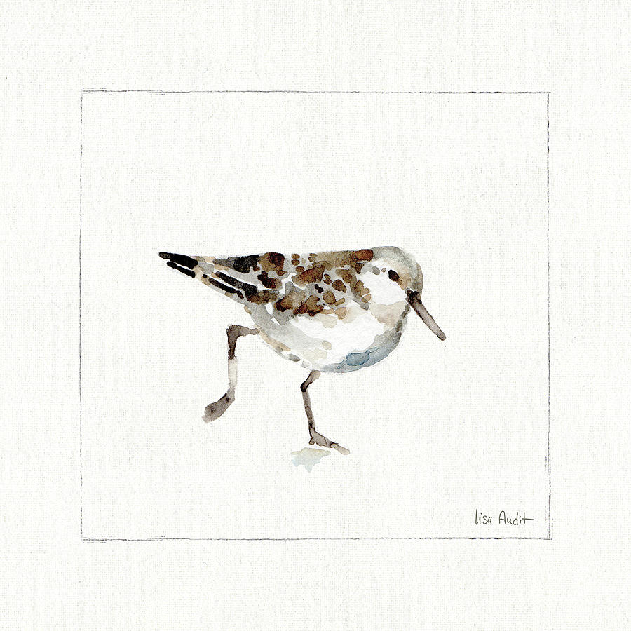 Animal Painting - Pebbles And Sandpipers II No Words by Lisa Audit