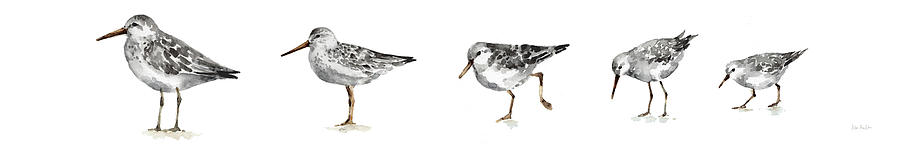 Animal Painting - Pebbles And Sandpipers Ix Gray No Words Border by Lisa Audit