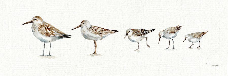 Animal Painting - Pebbles And Sandpipers Ix No Words Border by Lisa Audit