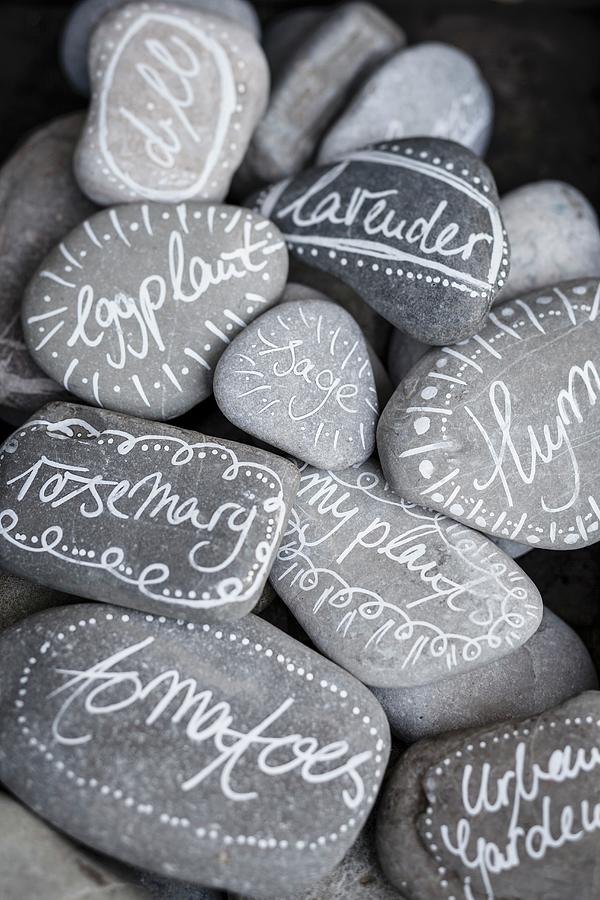 Pebbles Hand-painted With Plant Names Photograph by Eising Studio - Food Photo & Video