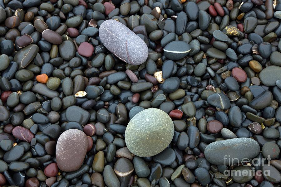 Pebbles On A Beach Photograph by Dr Keith Wheeler/science Photo Library