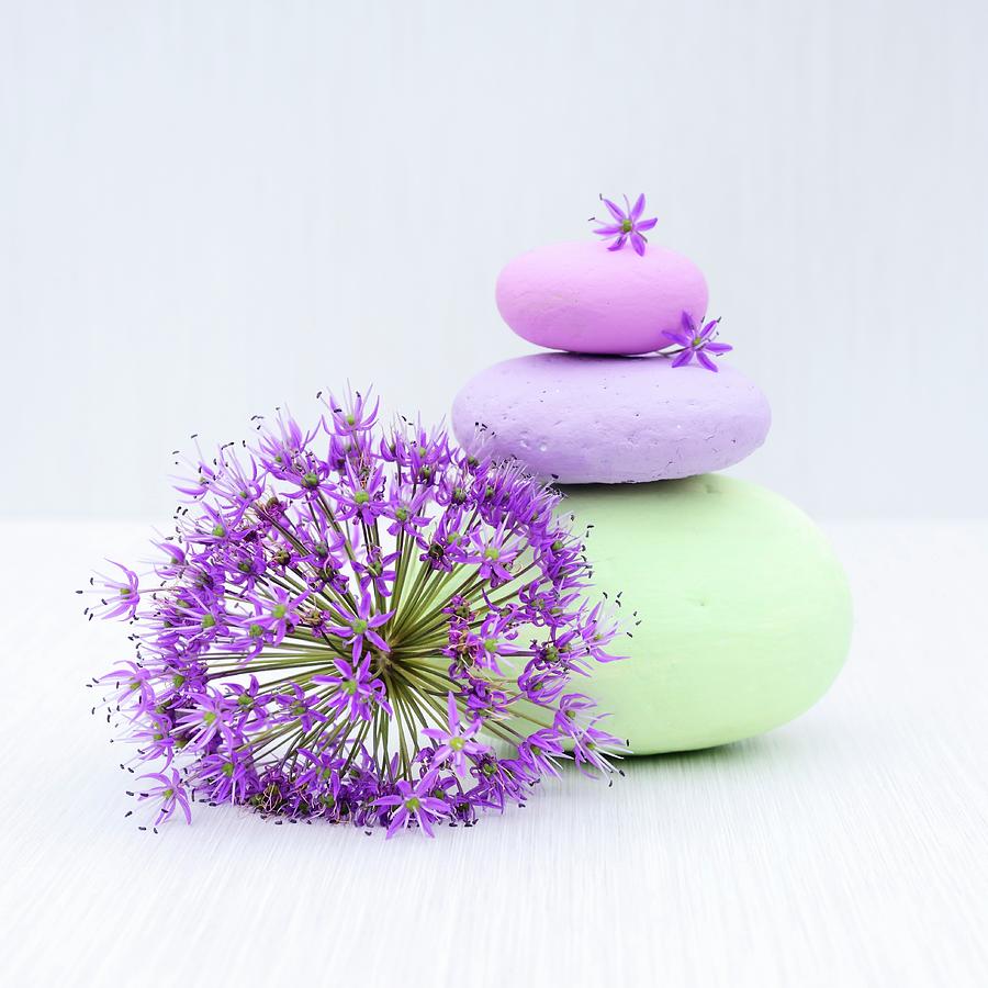 Pebbles Painted In Pastel Colours And Ornamental Allium Flower Photograph by Sonia Chatelain