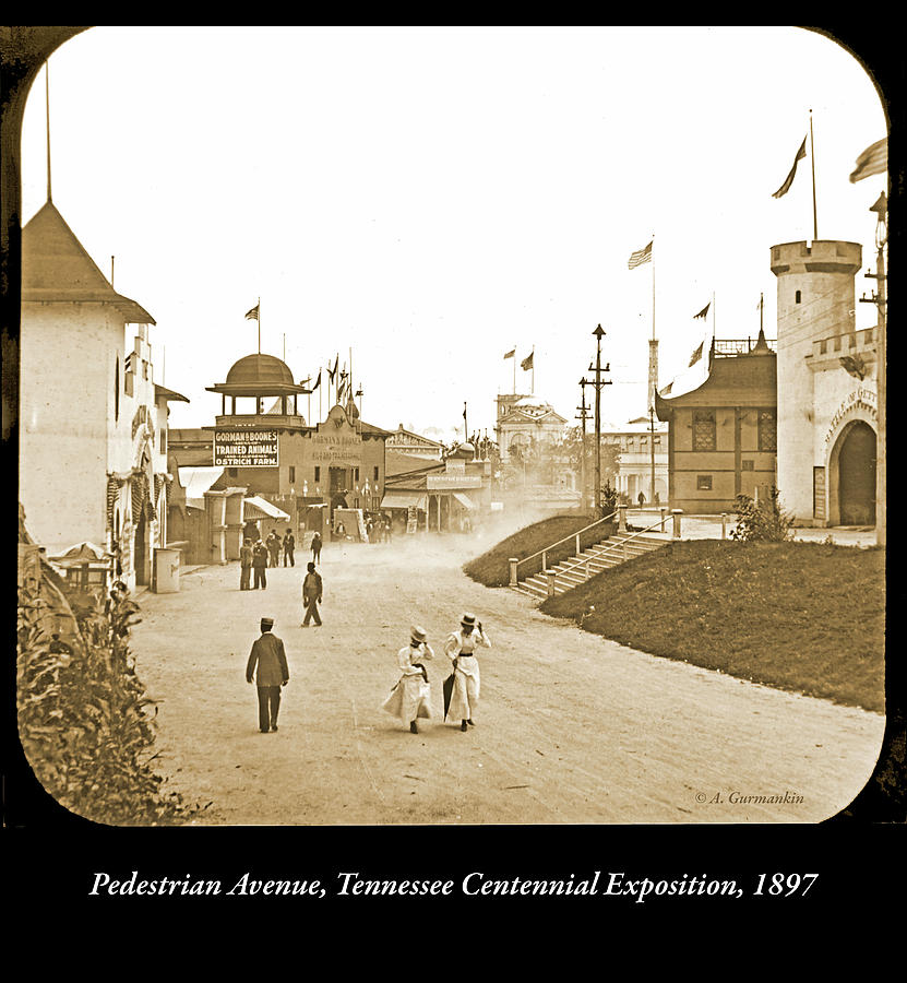 Pedestrian Avenue, Tennessee Centennial Exposition, 1897 Photograph by A Macarthur Gurmankin