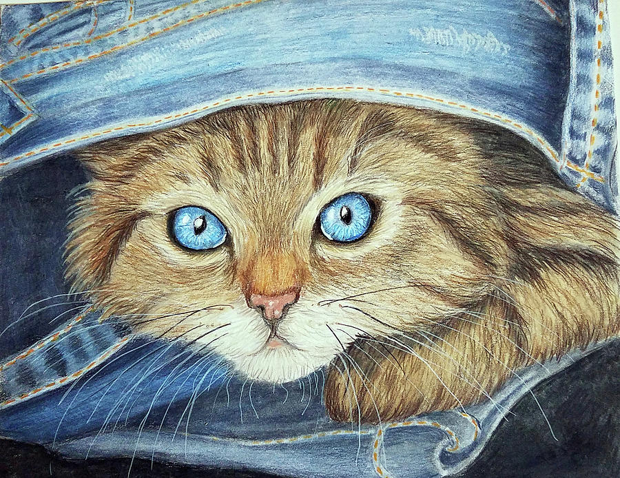 Peek a Boo Kitty Drawing by Lorraine Foster