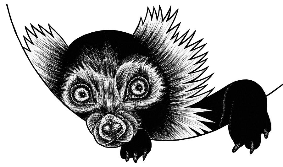 Peeking lemur - ink illustration Drawing by Loren Dowding