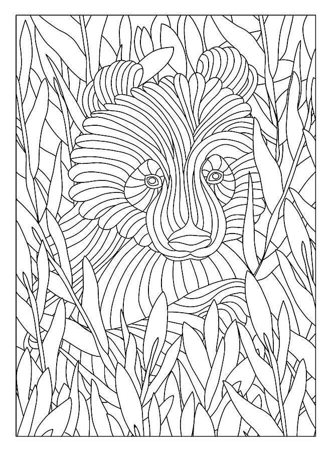 Animal Drawing - Peeking Panda by Kathy G. Ahrens
