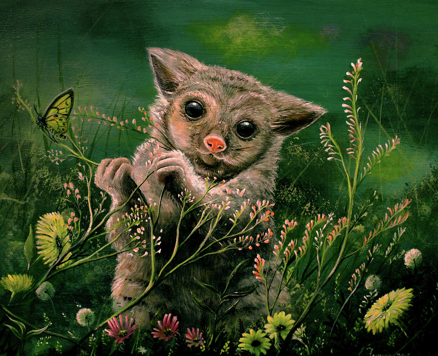 Animal Painting - Peeking Possum by Greg Farrugia
