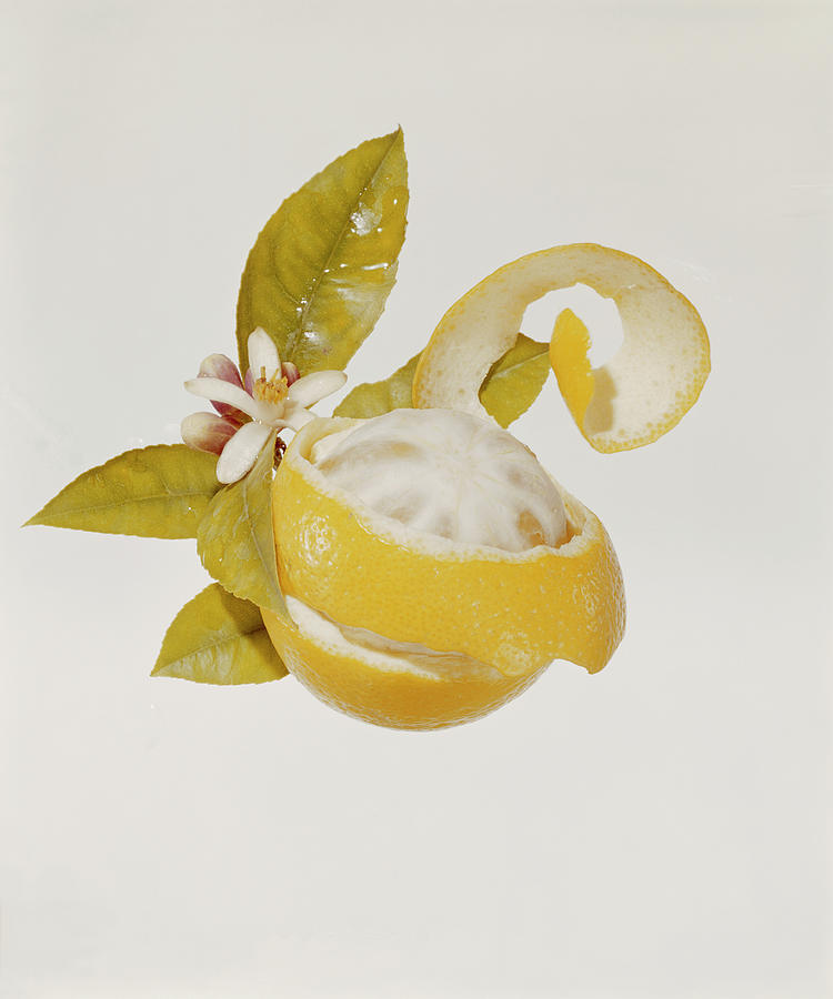 Peeled Orange With Blossom On White Photograph by Tom Kelley Archive