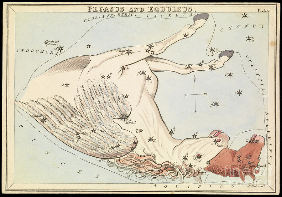 Pegasus And Equuleus, Circa 1825 Card, Paper, Tissue Mixed Media by Sydney Hall