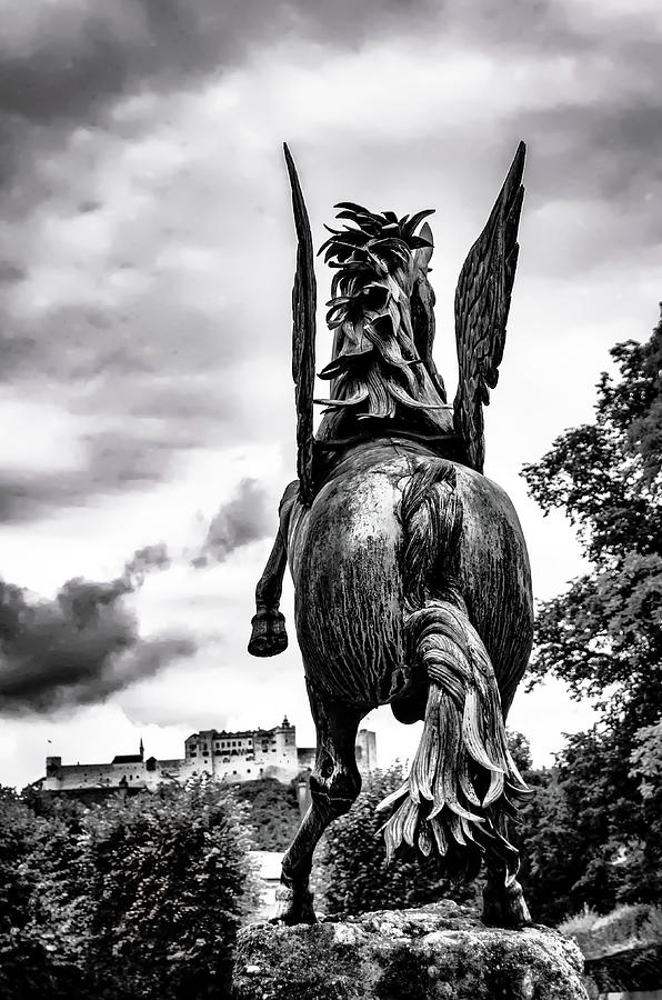 Pegasus Photograph - Pegasus by Borja Robles Pegasus Photograph - Pegasus by Borja Robles