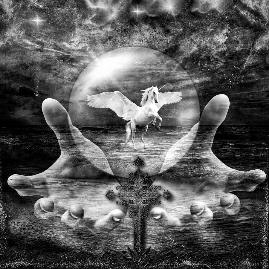 Pegasus BW by Michael Damiani Pegasus BW by Michael Damiani