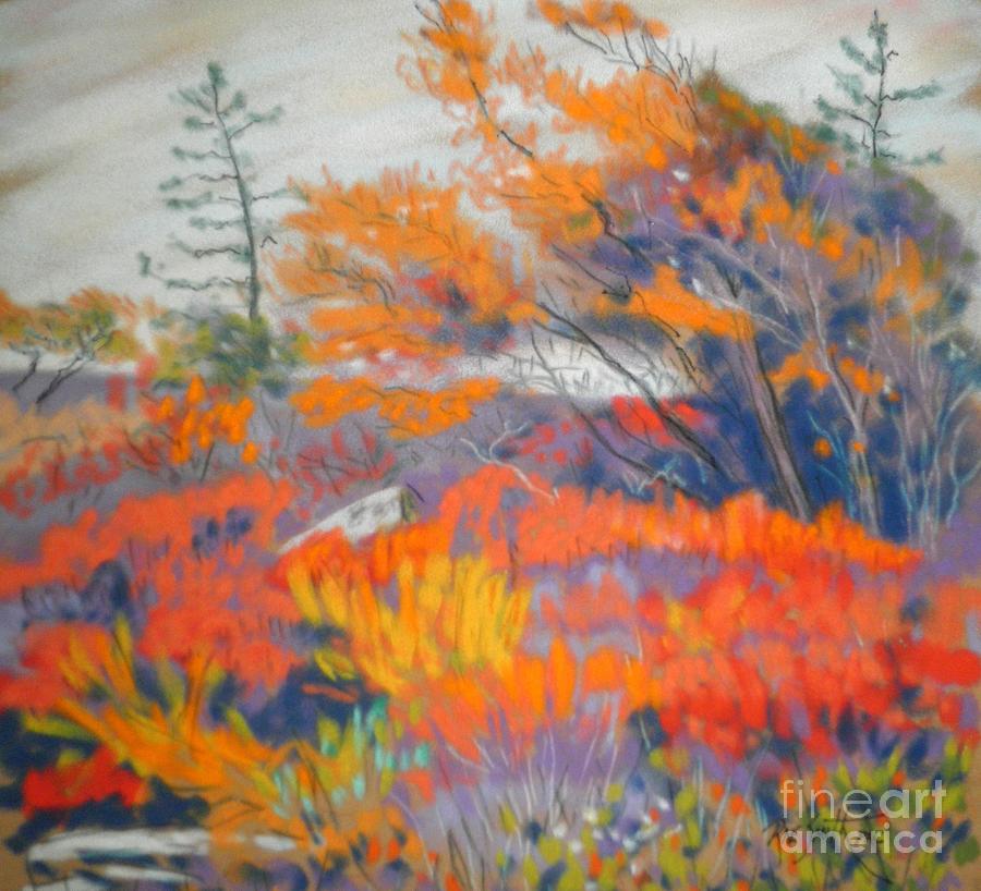 Peggys cove Barrens  Pastel by Rae  Smith PAC
