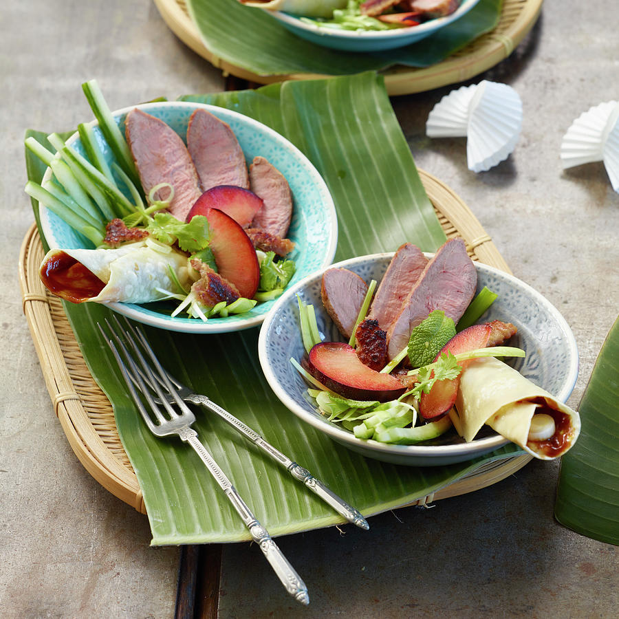Peking Duck Bowl With Plums And Spring Onions Photograph by Jan-peter Westermann