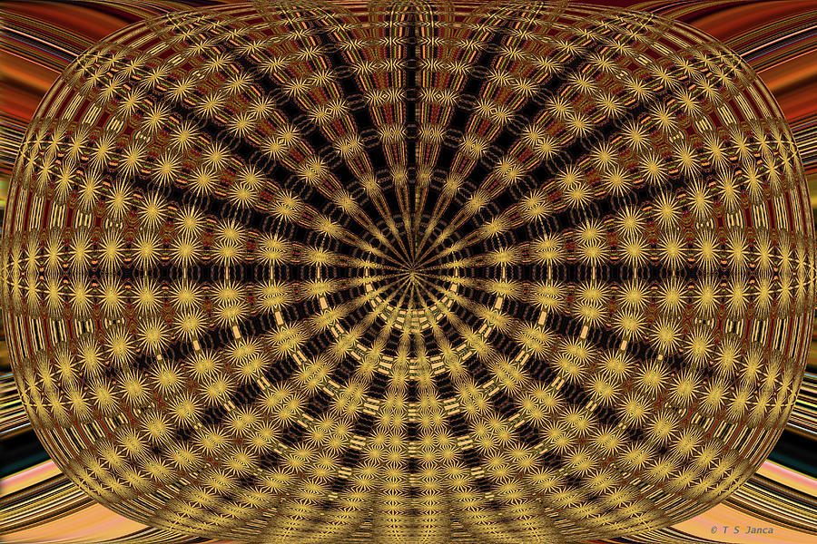 Pelican Abstract 8289ew3c Digital Art by Tom Janca