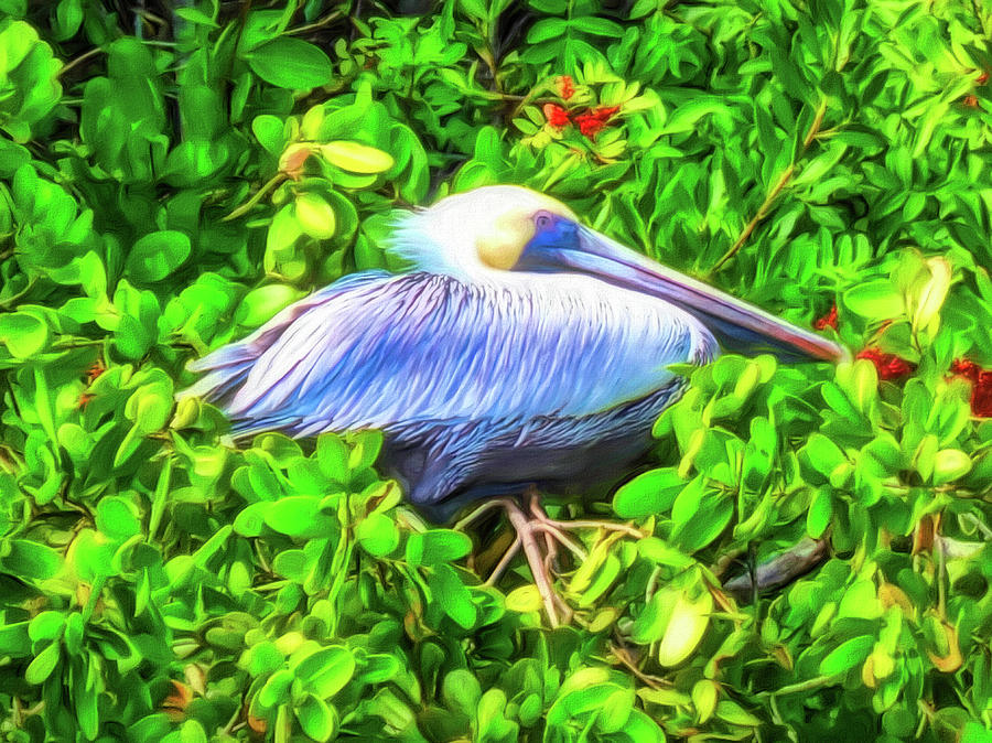 Pelican in the Mangroves Digital Art by Susan Hope Finley