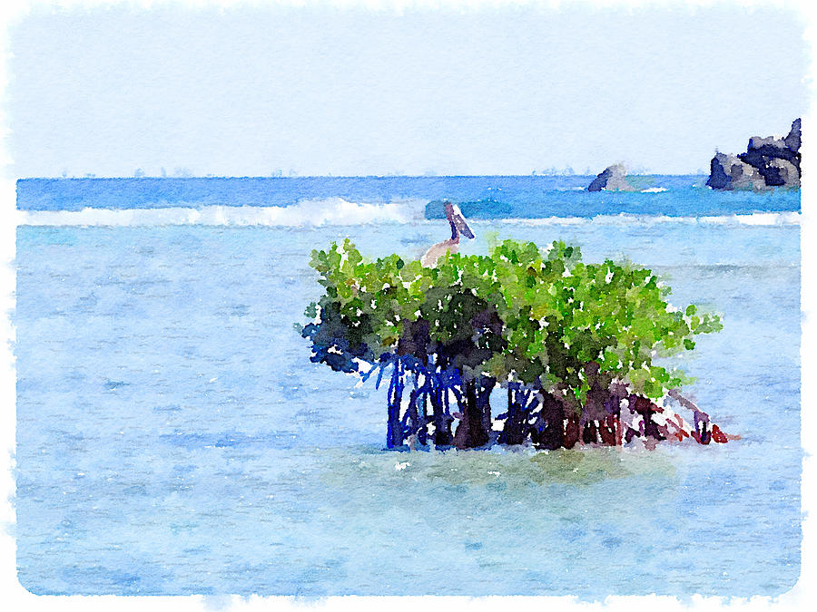 Pelican on mangroves. Digital Art by Life Makes Art