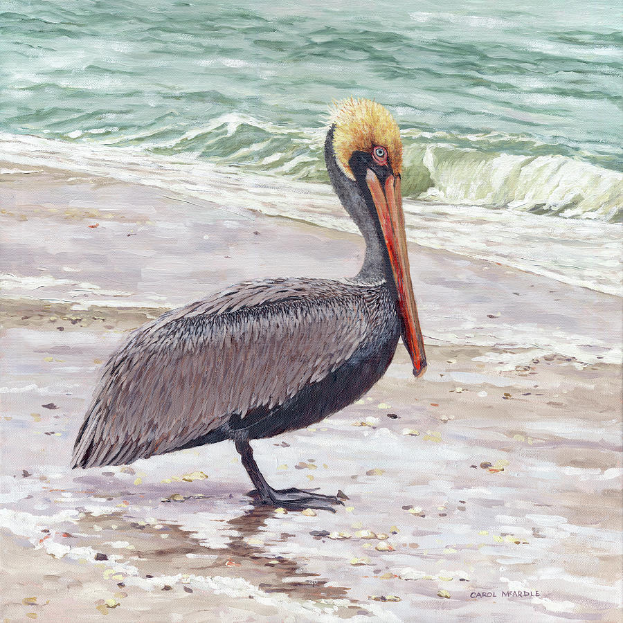 Pelican Pair I Painting by Carol McArdle - Fine Art America