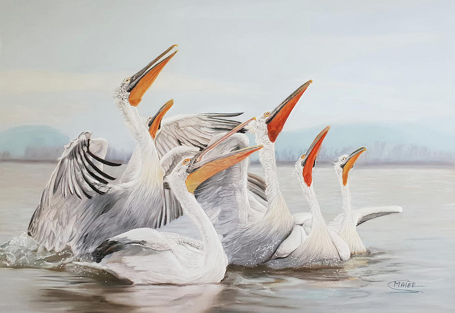 Pelican Pastel by Silvia Maier - Fine Art America