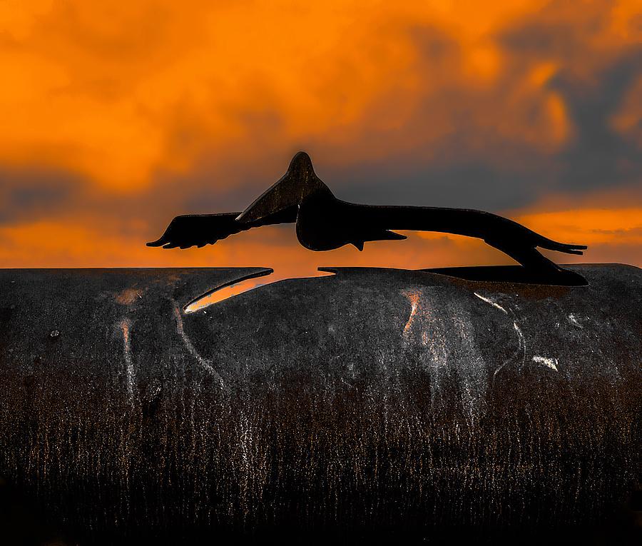 Sky Photograph - Pelican Skies by Christina Ford Sky Photograph - Pelican Skies by Christina Ford
